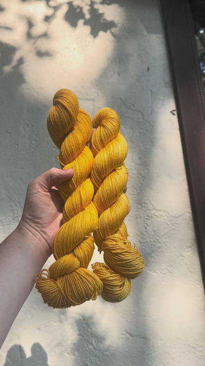 Sungold Marigold